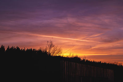 Silhouette plants and trees against sky during sunset