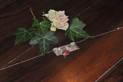 Close-up of leaf on table