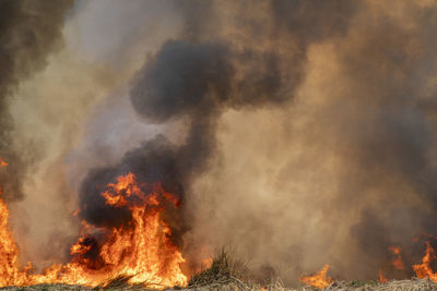 Panoramic view of fire on land