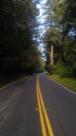 Road amidst trees against sky