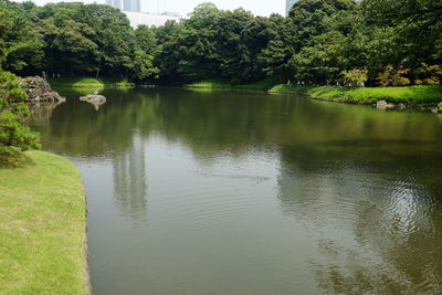 Scenic view of lake by trees
