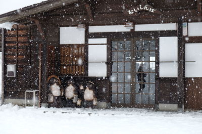 View of an animal in winter