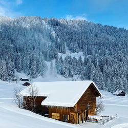 Snow covered houses and trees against sky