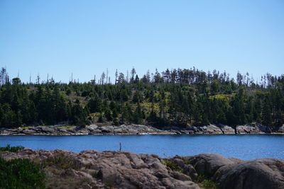 Scenic shot of calm lake against clear blue sky
