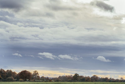 Storm clouds over trees against sky