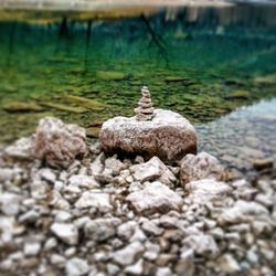 Close-up of duck on rock by sea