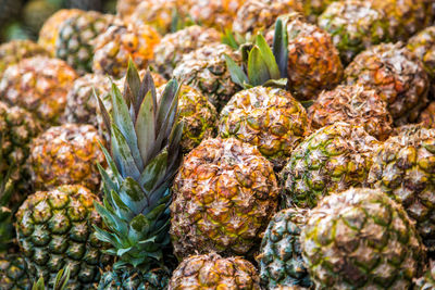 Close-up of fruits growing in market