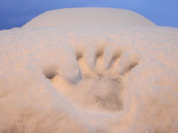 Close-up of ice on beach