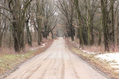 Road amidst bare trees in forest