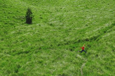 High angle view of man running on grassy field