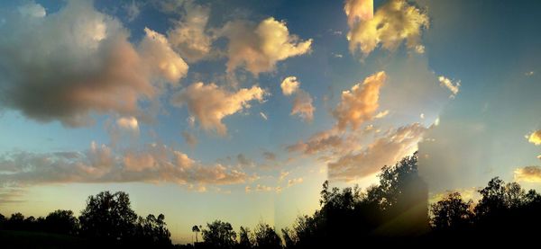 Low angle view of silhouette trees against sky during sunset