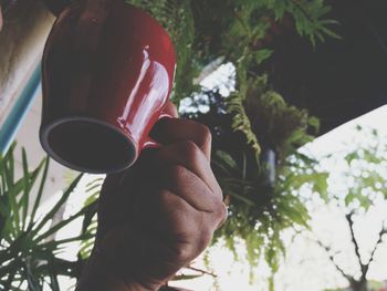 Close-up of hand holding coffee cup