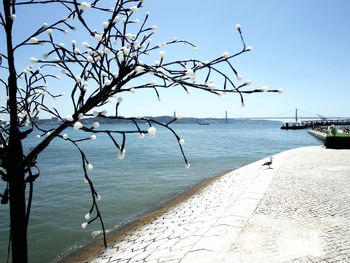 Scenic view of sea against clear sky