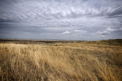 Scenic view of field against sky