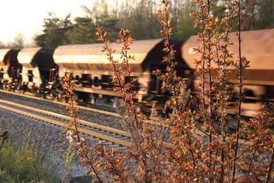 Freight train on railroad tracks 