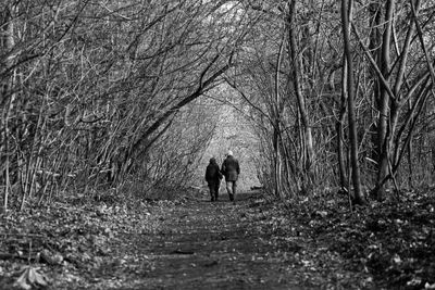 Rear view of senior couple walking on road in forest