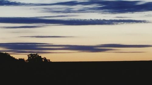 Silhouette of trees at sunset