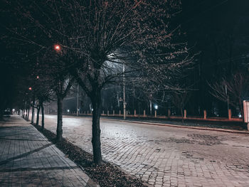 Street amidst trees at night