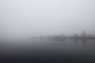 Scenic view of lake in foggy weather