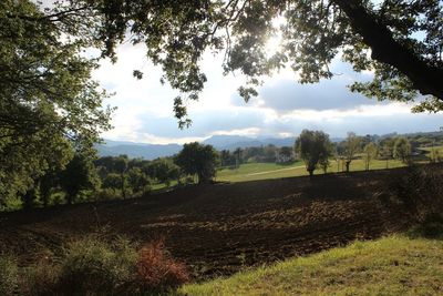 Scenic view of field against cloudy sky