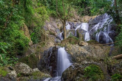 Waterfall in forest