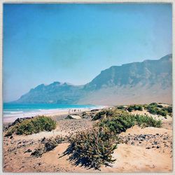 Scenic view of beach against blue sky