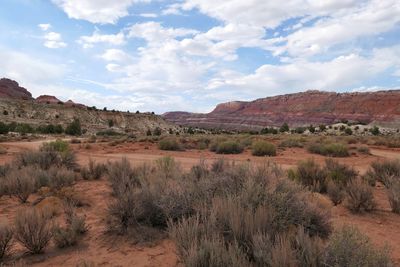 Scenic view of landscape against sky