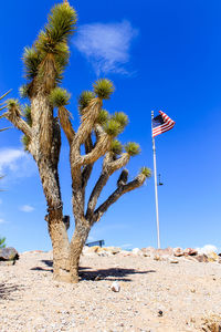 Low angle view of flag against sky