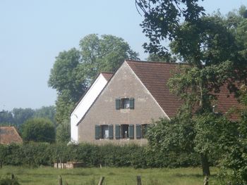 architecture