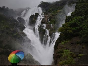 Scenic view of waterfall in forest