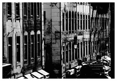 Row of trees in the dark