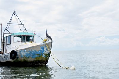 Ship in sea against sky