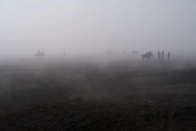 People walking on snow covered land