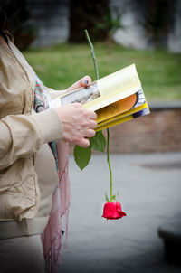 Midsection of woman holding red flowering plant in water