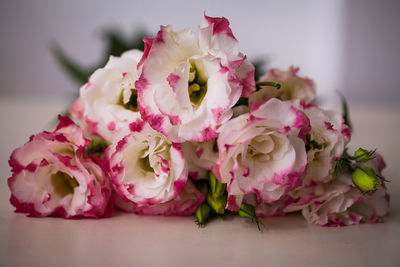 Close-up of pink roses on table