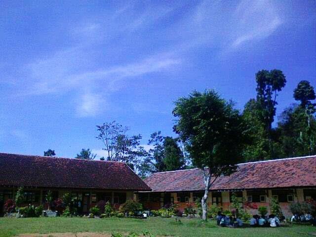 tree, architecture, plant, building exterior, sky, built structure, building, cloud - sky, house, nature, day, residential district, land, field, landscape, outdoors, growth, grass, roof, incidental people