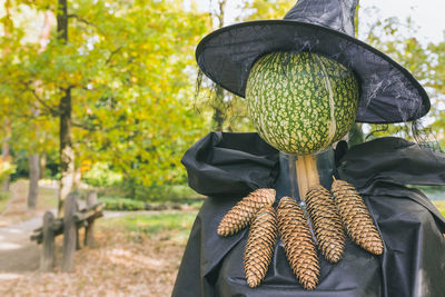 Halloween witch scarecrow with pumpkin head in hat decor, copy space