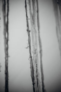 Close-up of ice crystals