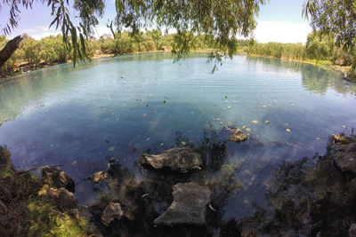Scenic view of lake
