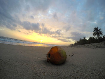 Scenic view of sea at sunset