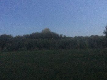 Scenic view of field against clear sky