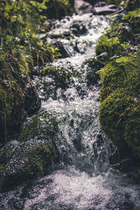 River flowing through rocks in forest