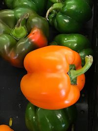 High angle view of bell peppers in water