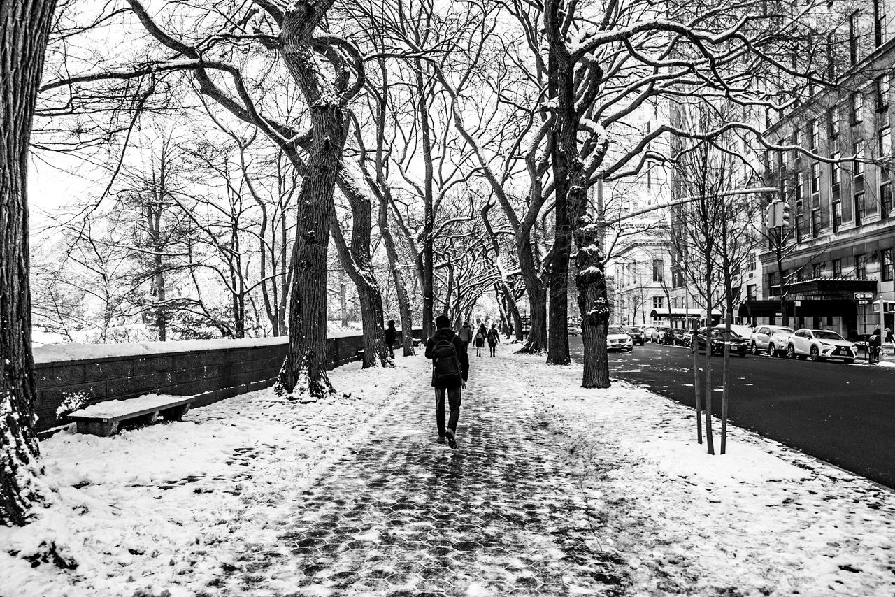 REAR VIEW OF MAN WALKING ON BARE TREES IN WINTER