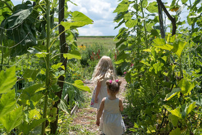 Rear view of girls amidst plants