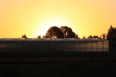 Silhouette trees on field against clear sky during sunset