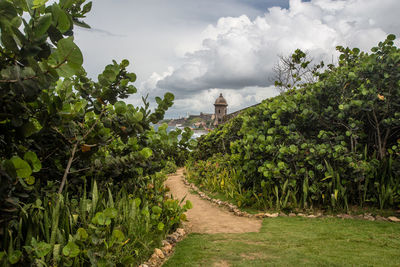 Scenic view of farm against sky