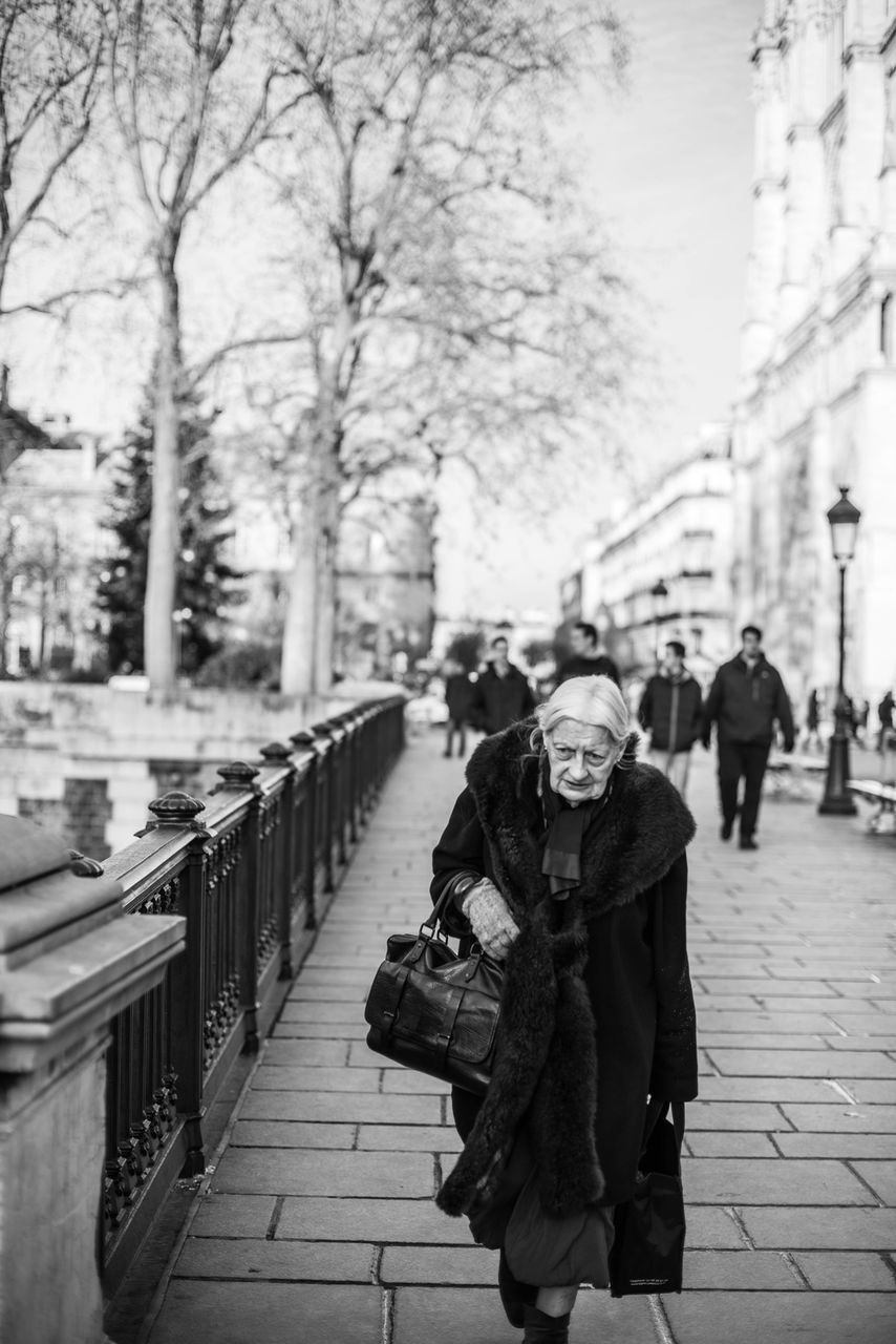 lifestyles, tree, men, rear view, person, building exterior, walking, full length, leisure activity, city, the way forward, built structure, architecture, street, city life, sidewalk, footpath