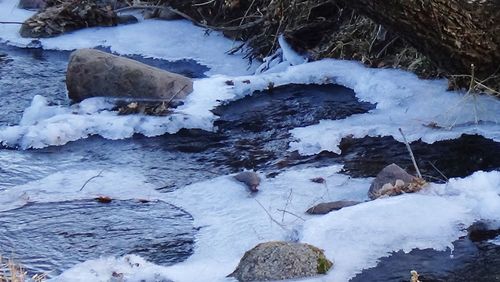 Close-up of frozen water