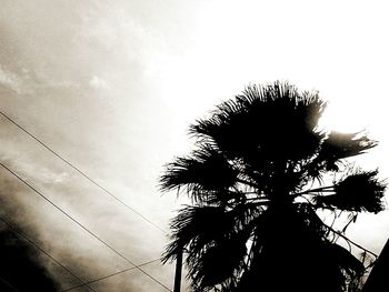 Low angle view of silhouette tree against sky